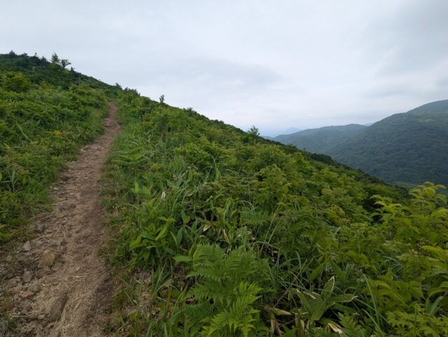 20250701_111609549.jpg