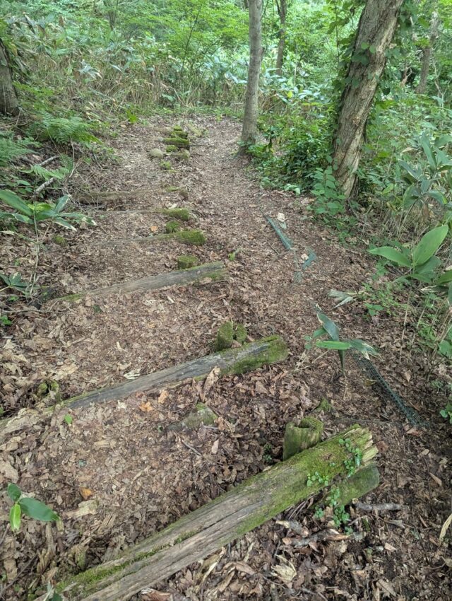 20250701_130901689.jpg