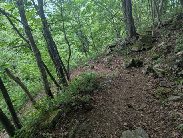 20250701_132219630.jpg
