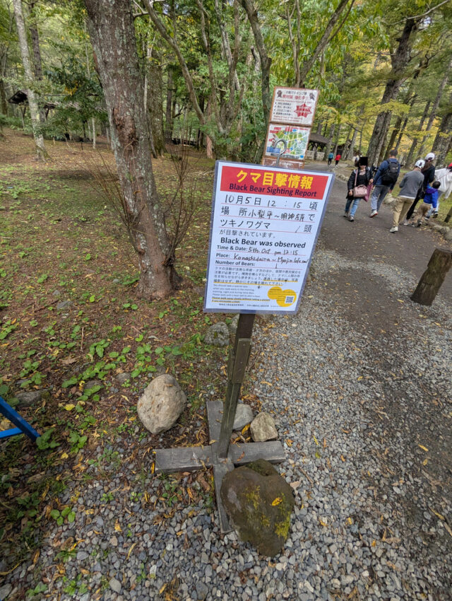 20251007_104643977.jpg
