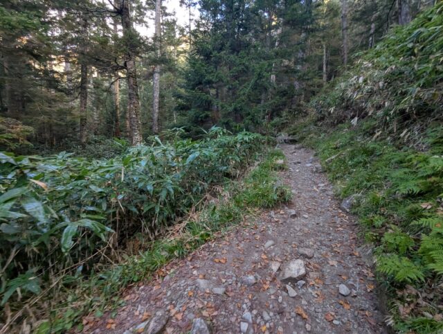 20251008_063651063.jpg