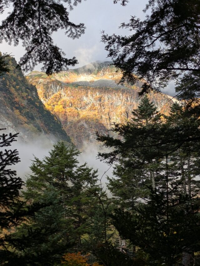 20251008_065333683.jpg