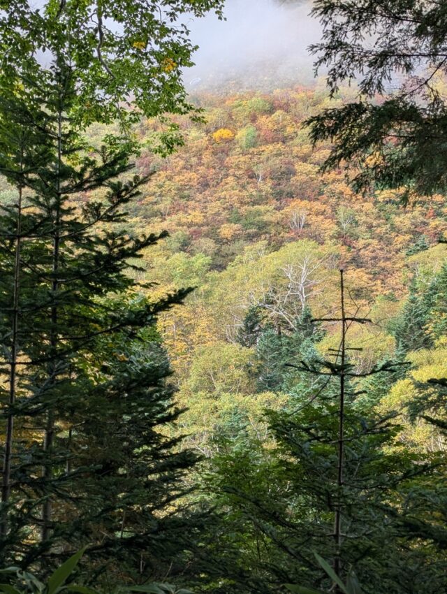 20251008_065552586.jpg