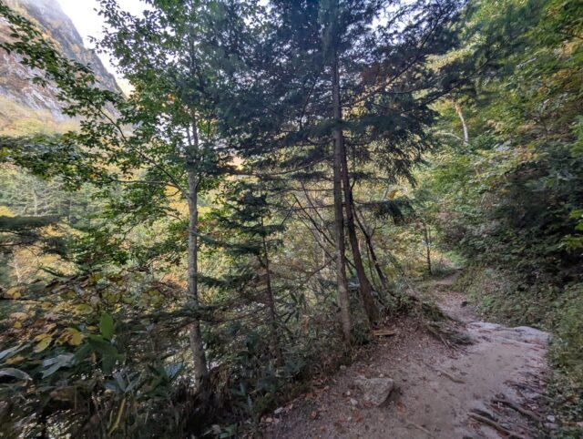 20251008_065557895.jpg