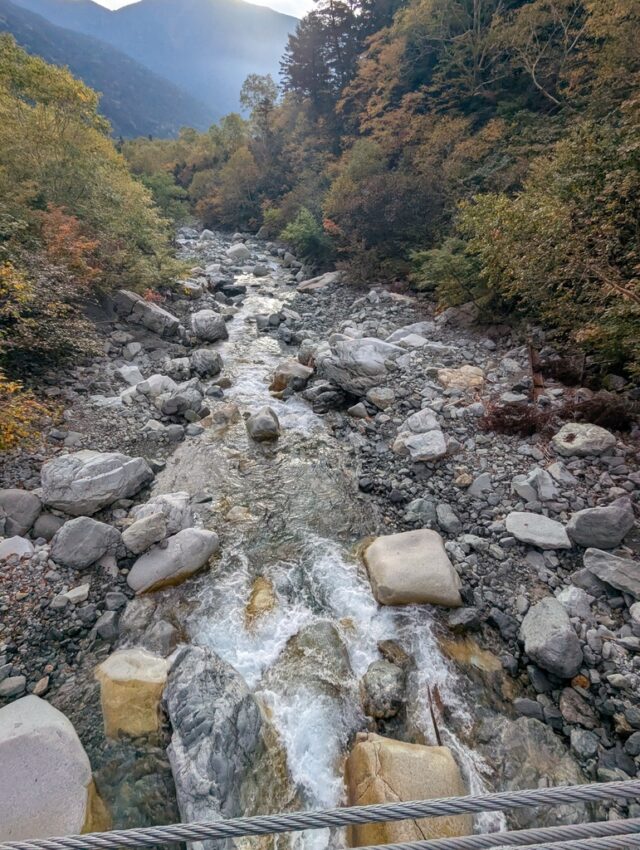20251008_070801449.jpg