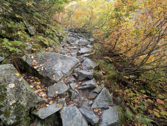 20251008_074710334.jpg