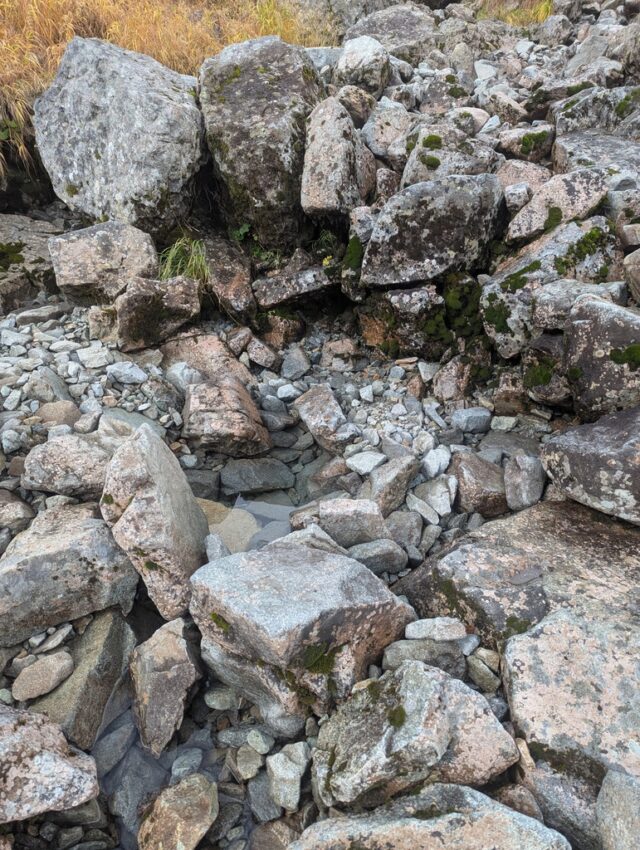 20251008_084013446.jpg