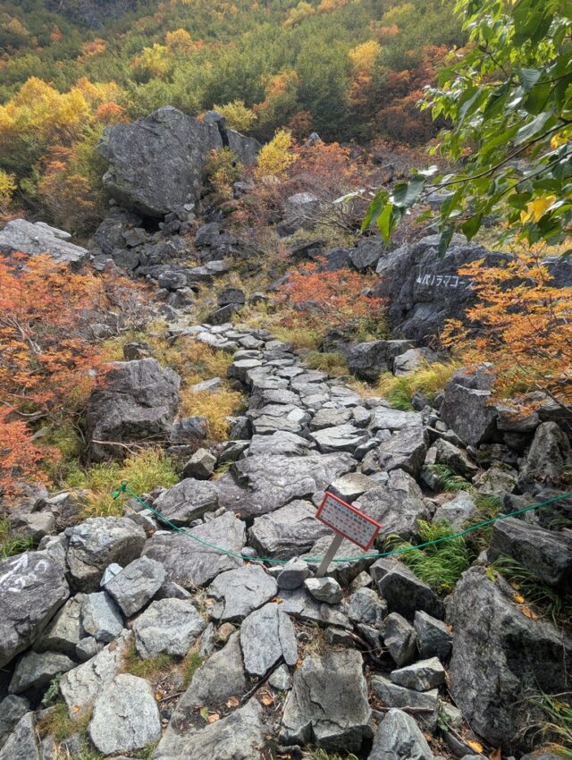 20251008_104913853.jpg
