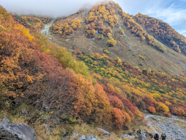 20251009_071423699.jpg
