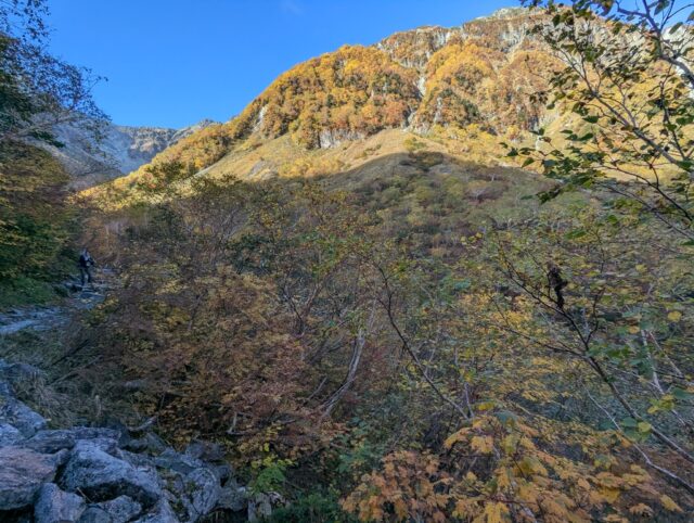 20251009_080123797.jpg