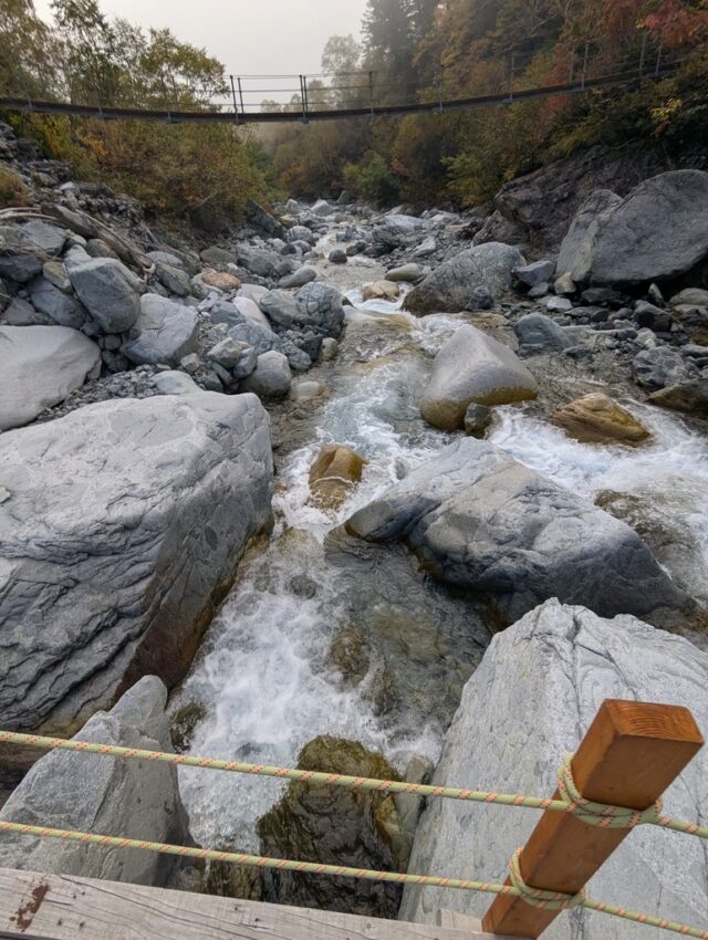 20251009_083311848.jpg