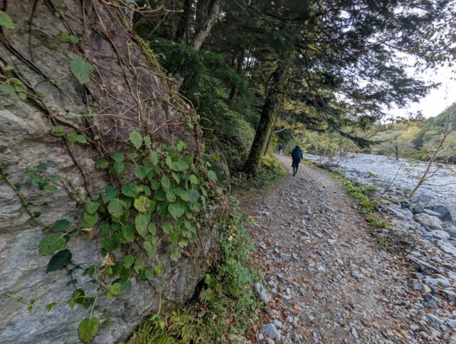 20251009_090155343.jpg