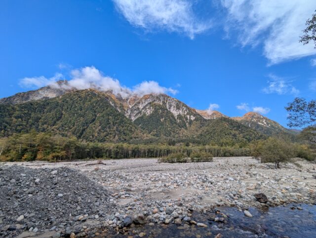 20251009_104446888.jpg