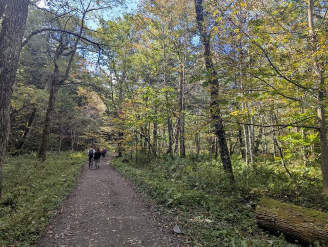20251009_105722719.jpg