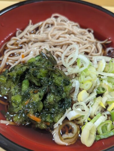 冷やし野沢菜わさび昆布そば